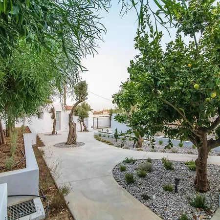 Διαμέρισμα Acanthus Τήνος